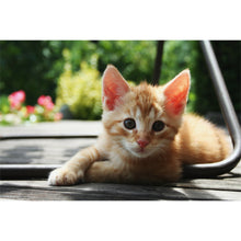Load image into Gallery viewer, ARCTIC 10 WIRELESS